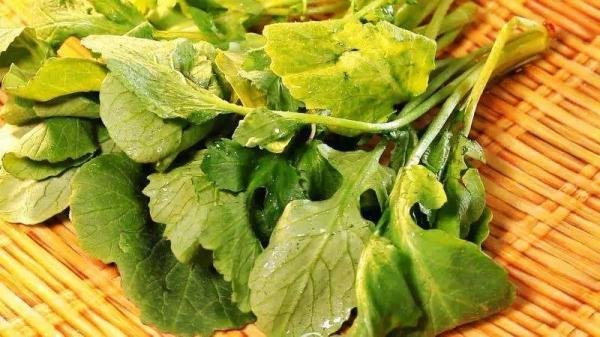 什么食物比较补钙(食物补充钙)-硒宝网