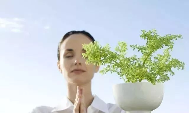 体恒健牌硒维康功效(体恒健牌硒维康口嚼片哪里有卖)-硒宝网