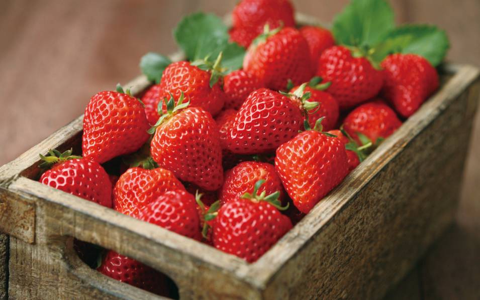 什么食物补钙效果最好(食补钙比较好的食材有)-硒宝网