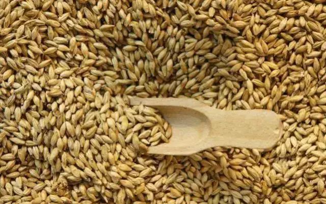 普通人吃硒维康好吗(我吃硒维康的亲身经历)-硒宝网