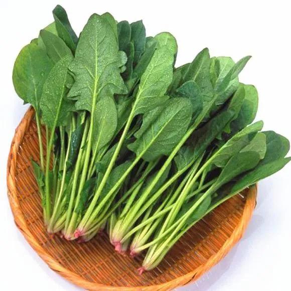 老年人缺钙吃什么补钙最快(老人补钙吃hmb)-硒宝网