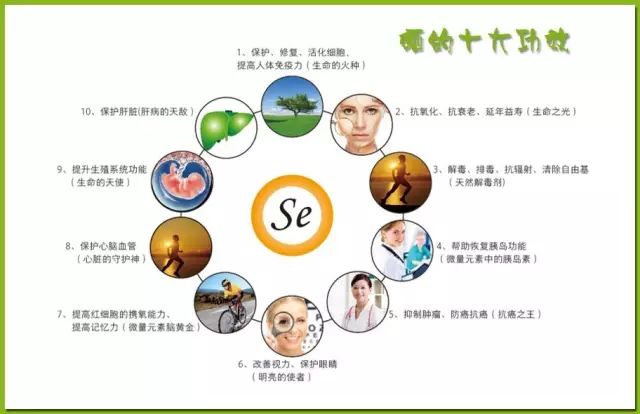 硒维康的效果怎么样(硒维康的说明书)-硒宝网