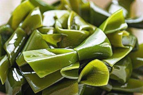 补钙图片（补钙图片卡通）-硒宝网