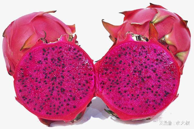 硒维康能增强免疫力(维生素硒能提高免疫力吗)-硒宝网