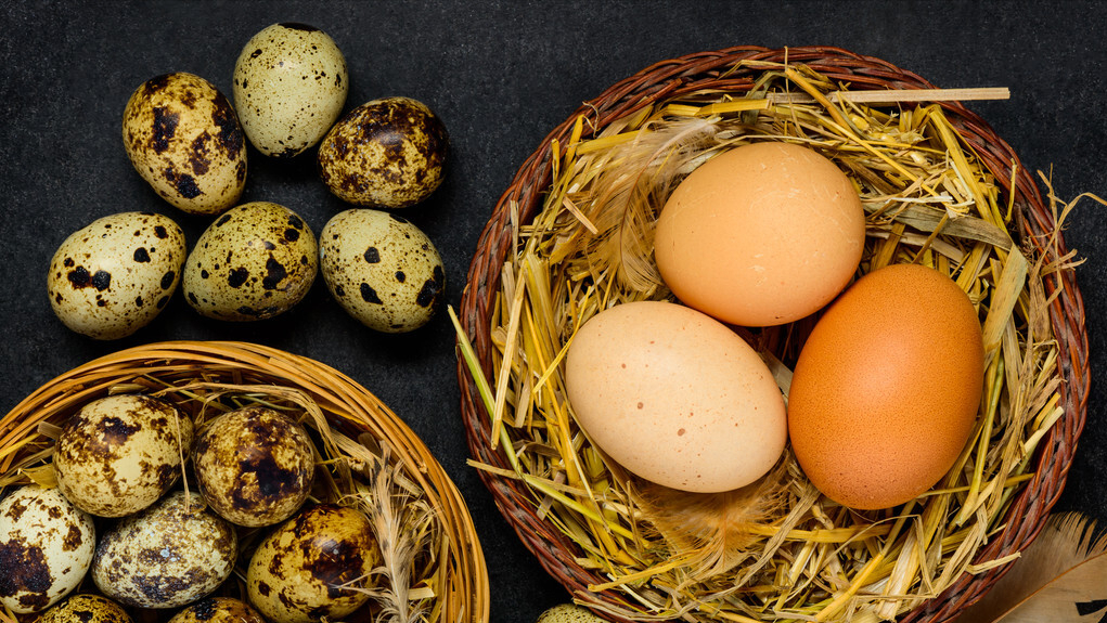 老年人如何补钙效果好（老好人补钙什么好）-硒宝网