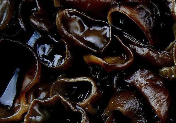 吃什么补钙好(补钙吃好久)-硒宝网