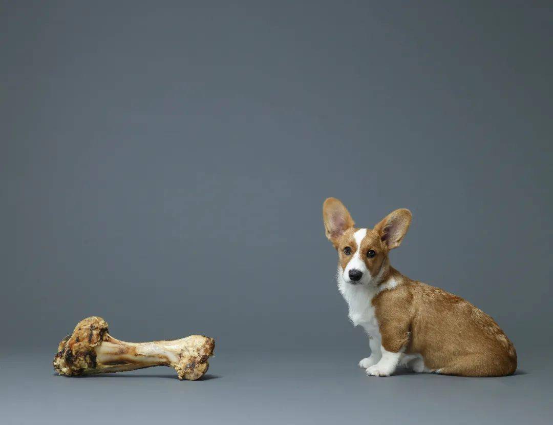 补钙的钙怎么写(补钙合集)-硒宝网