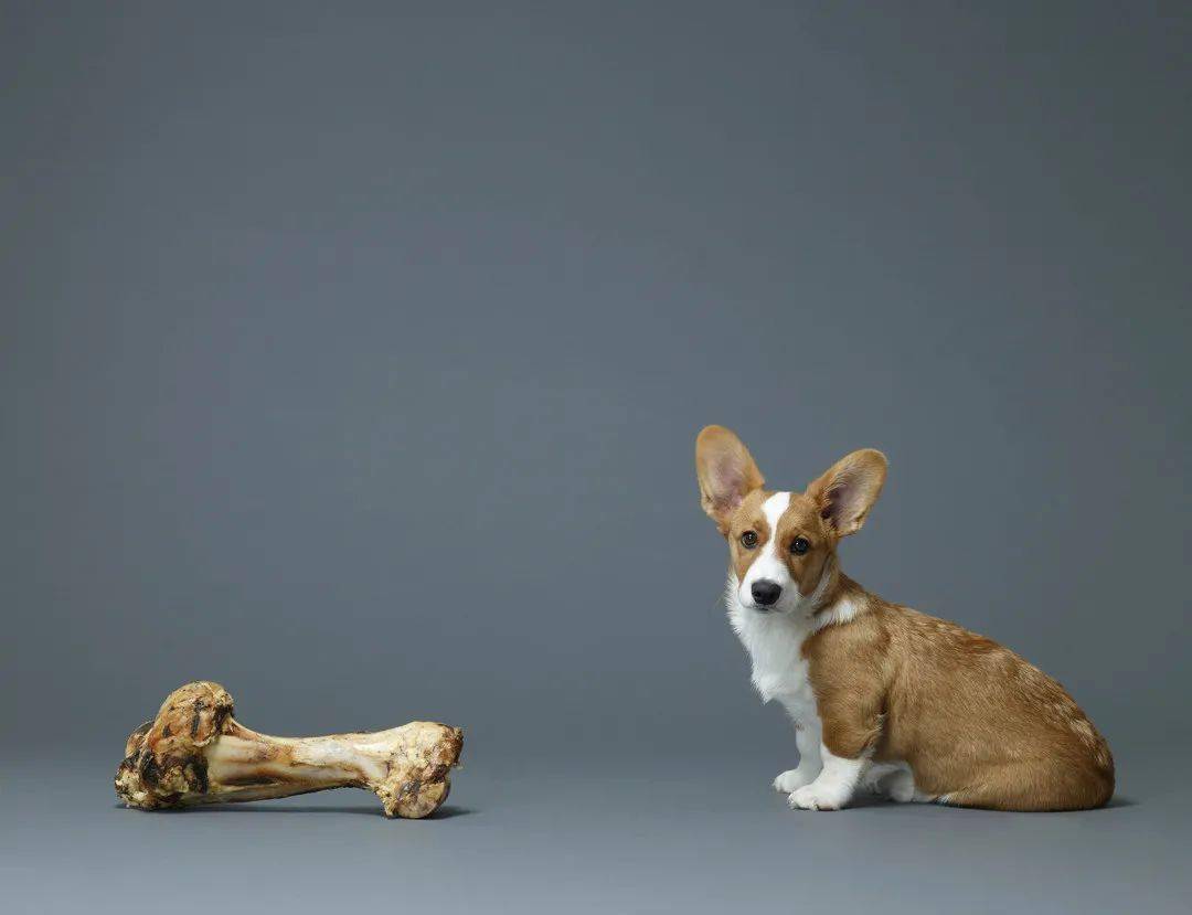 补钙的钙怎么写(补钙合集)-硒宝网