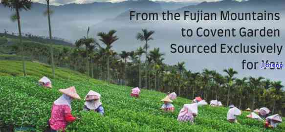 微量元素英语（微量元素英语对照表）-硒宝网