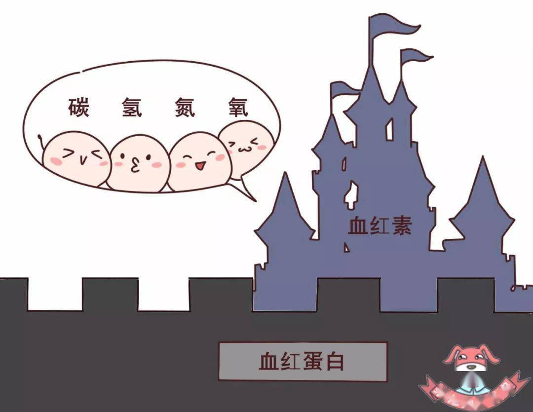 如何补铁效果最好(补铁选什么药好)-硒宝网