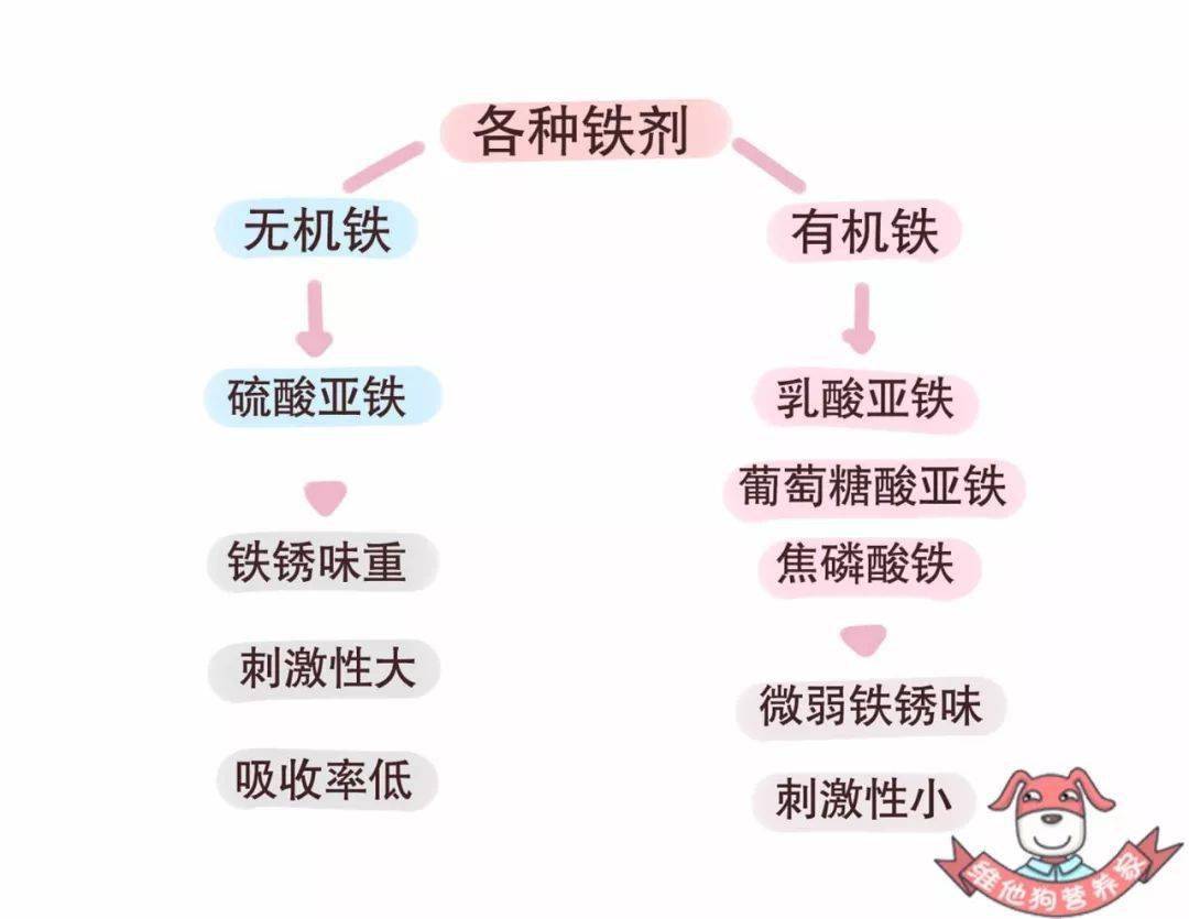 如何补铁效果最好(补铁选什么药好)-硒宝网