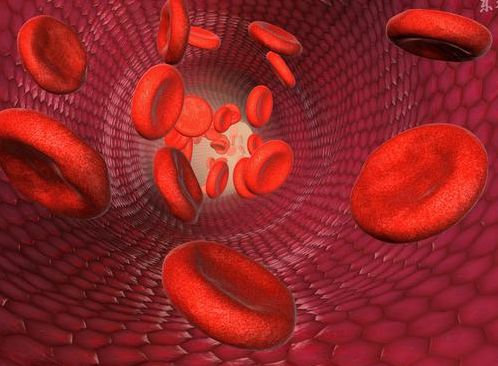 多少岁开始补钙(婴儿多大开始补钙)-硒宝网