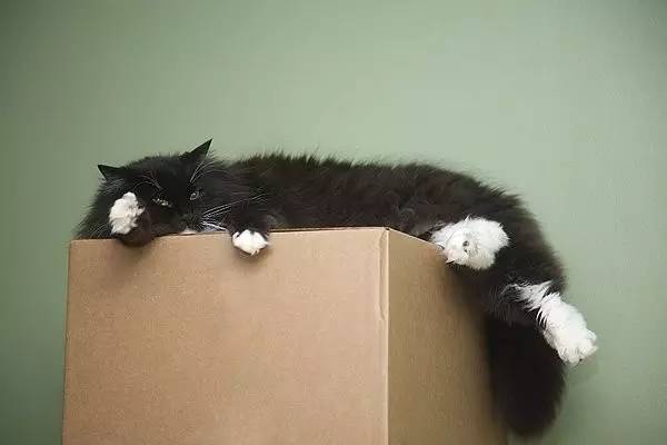 什么人需要补钙（需要补钙的人）-硒宝网