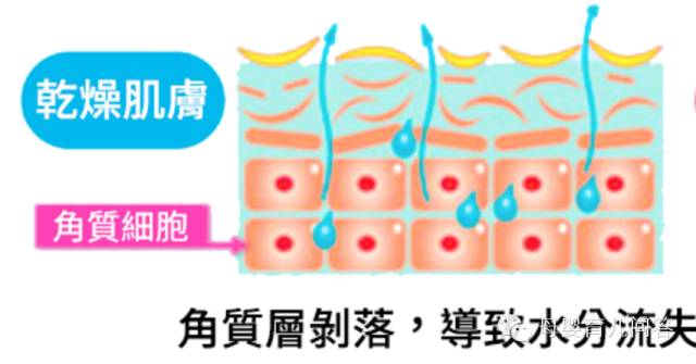 宝宝吃锌硒宝起疹子(锌硒片宝宝能吃吗)-硒宝网