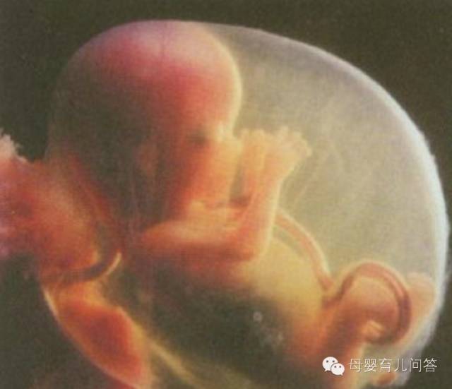 宝宝吃锌硒宝起疹子(锌硒片宝宝能吃吗)-硒宝网