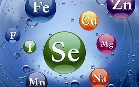 仁和多维生素锌硒宝(锌硒宝和硒维康哪个好)-硒宝网