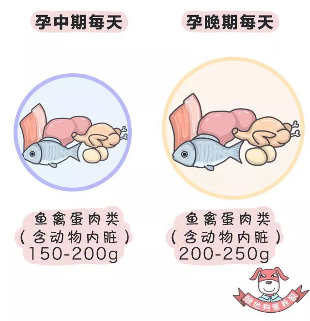 孕妇补铁什么时候吃最好(孕妇吃时候好补铁还是补钙)-硒宝网