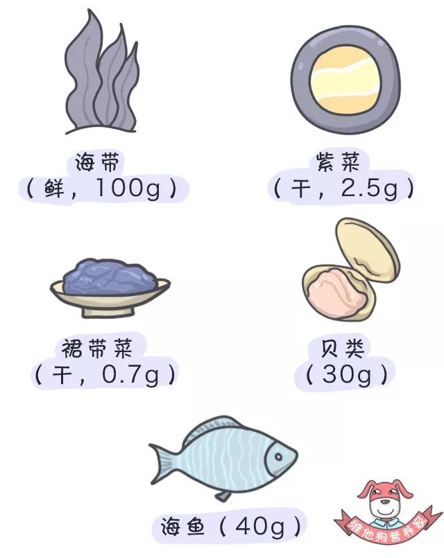 孕妇补铁什么时候吃最好(孕妇吃时候好补铁还是补钙)-硒宝网