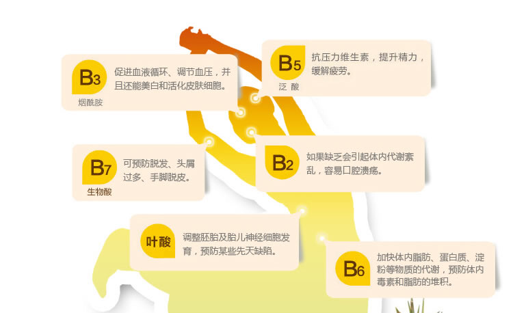 微量元素包括维生素吗(维生素微量元素包括哪些)-硒宝网