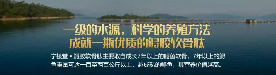 硒锌宝主要治疗什么（锌硒宝治什么）-硒宝网