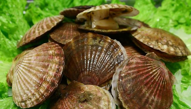 gnc锌片与锌硒宝（锌硒宝片吃法）-硒宝网