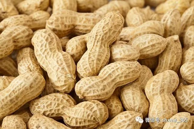 补锌吃什么(吃补锌的药有副作用吗)-硒宝网