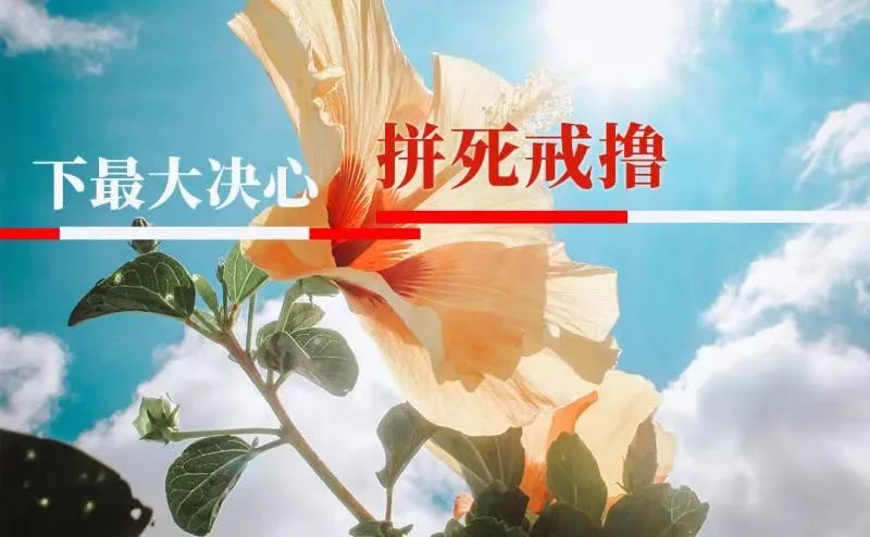 提高精子活力锌硒宝（提高精子活力锌硒宝）-硒宝网