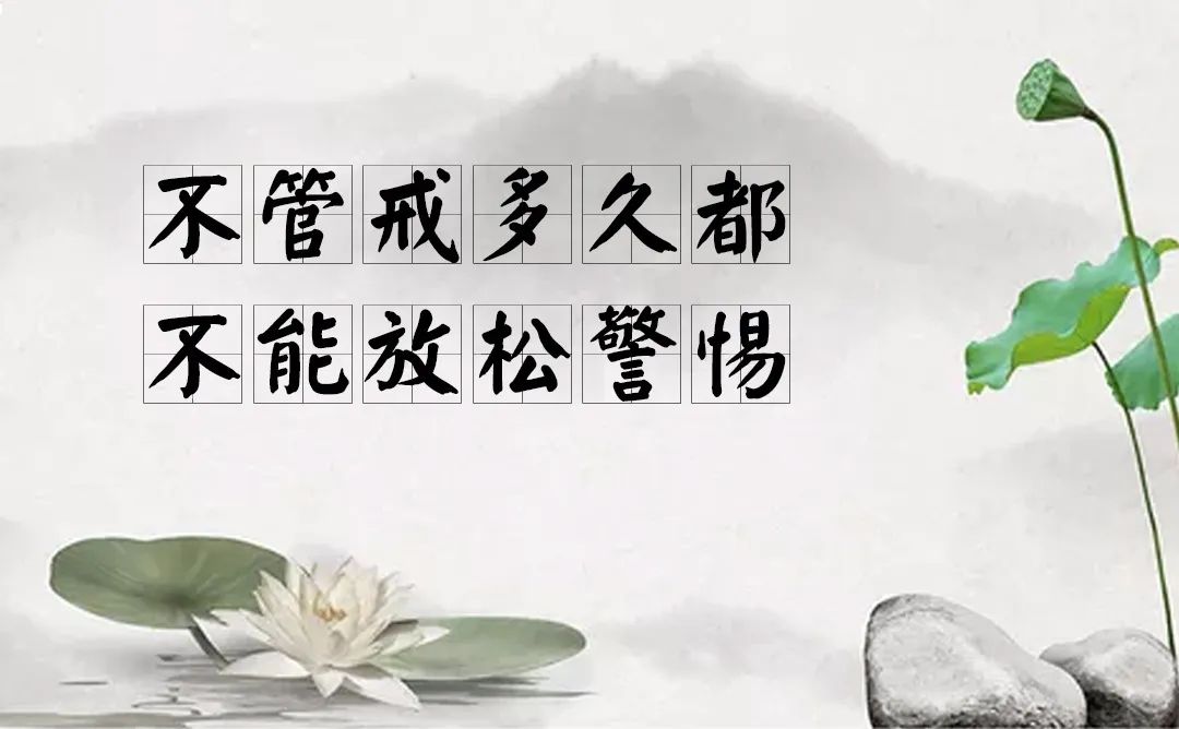 提高精子活力锌硒宝（提高精子活力锌硒宝）-硒宝网