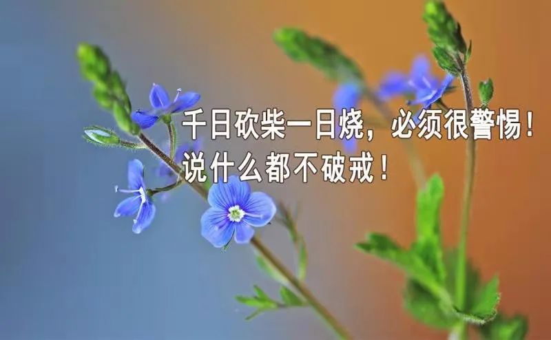 提高精子活力锌硒宝（提高精子活力锌硒宝）-硒宝网