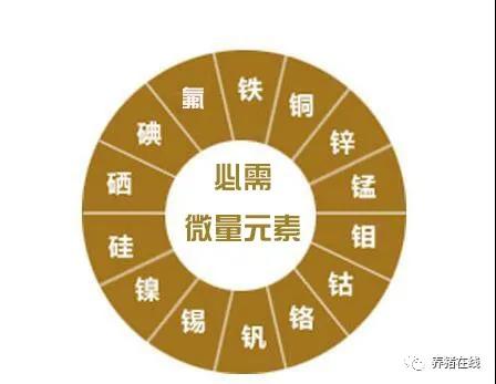 微量元素名词解释(微量元素的名词解释生物化学)-硒宝网