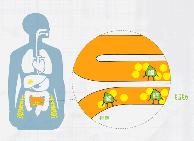 微量元素名词解释(微量元素的名词解释生物化学)-硒宝网