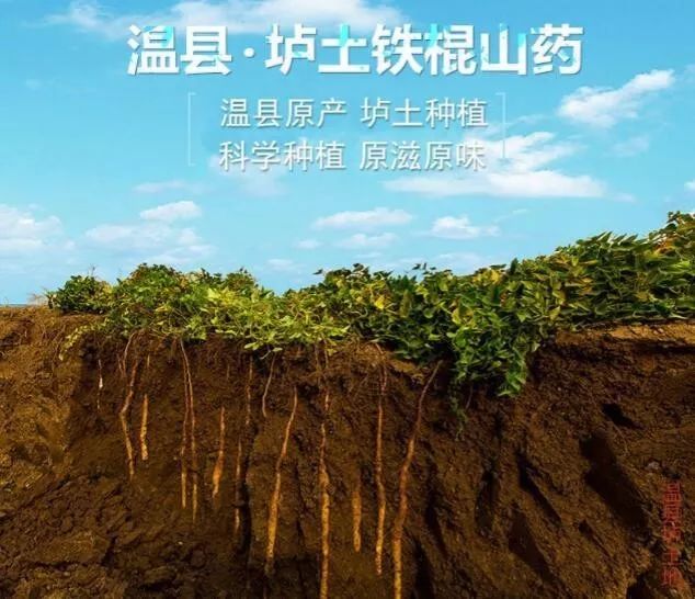 哺乳期缺锌吃锌硒宝（哺乳期补锌）-硒宝网