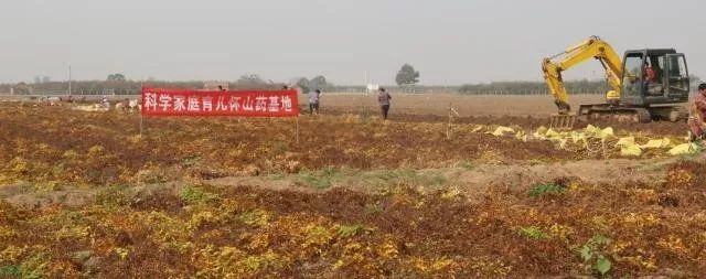 哺乳期缺锌吃锌硒宝（哺乳期补锌）-硒宝网