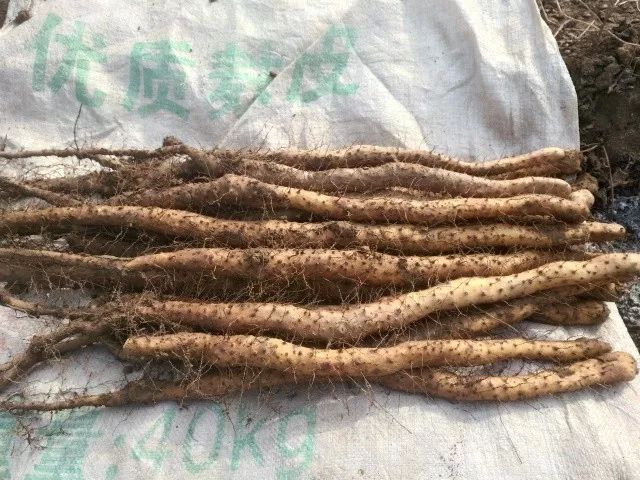 哺乳期缺锌吃锌硒宝（哺乳期补锌）-硒宝网