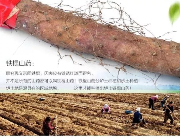 哺乳期缺锌吃锌硒宝（哺乳期补锌）-硒宝网