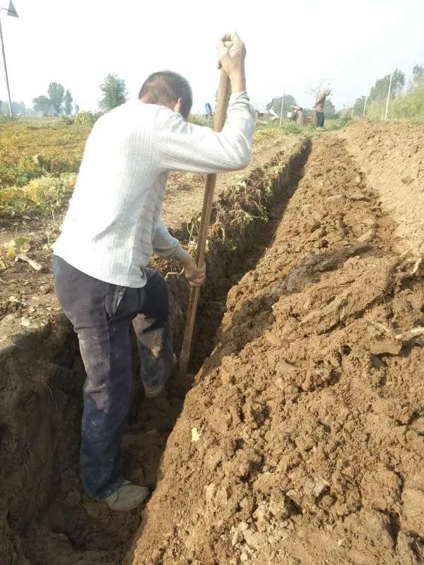 哺乳期缺锌吃锌硒宝（哺乳期补锌）-硒宝网