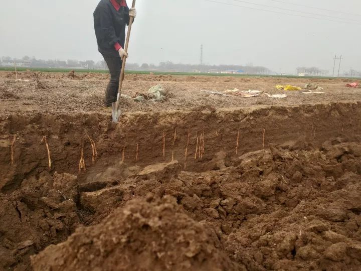 哺乳期缺锌吃锌硒宝（哺乳期补锌）-硒宝网