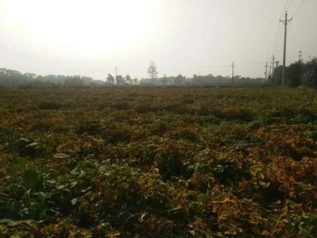 哺乳期缺锌吃锌硒宝（哺乳期补锌）-硒宝网