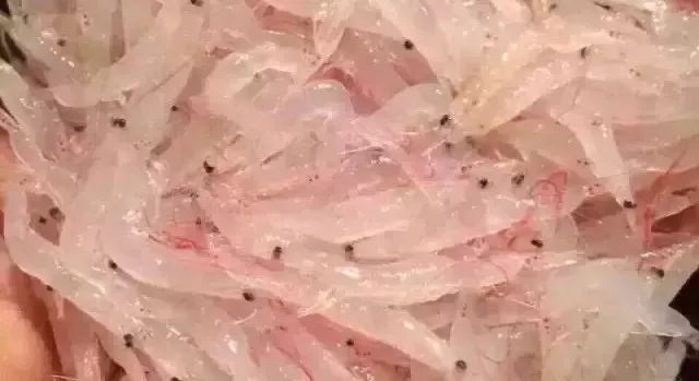 儿童吃什么补铁效果最好（小孩子补铁的）-硒宝网