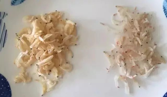 儿童吃什么补铁效果最好（小孩子补铁的）-硒宝网