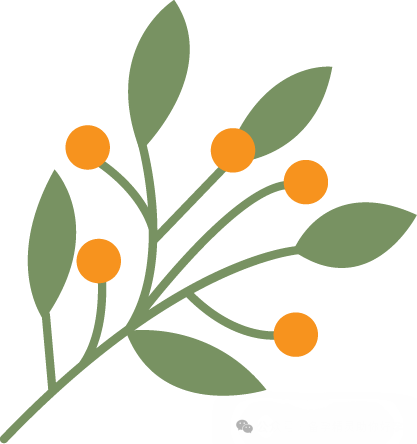 锌硒宝的作用及功能（锌硒宝真的有用吗）-硒宝网