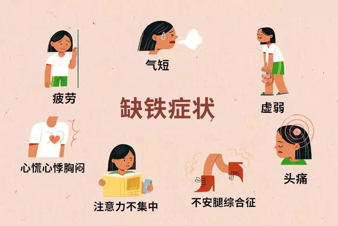 补铁多久血红蛋白上升(蛋白上升血红补铁剂有用吗)-硒宝网