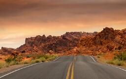 孕妇补钙的食物(孕妇食物补钙有哪些)-硒宝网