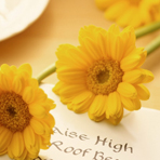 适合婴儿的锌硒宝片(锌硒宝片婴儿可以吃吗)-硒宝网