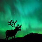 适合婴儿的锌硒宝片(锌硒宝片婴儿可以吃吗)-硒宝网