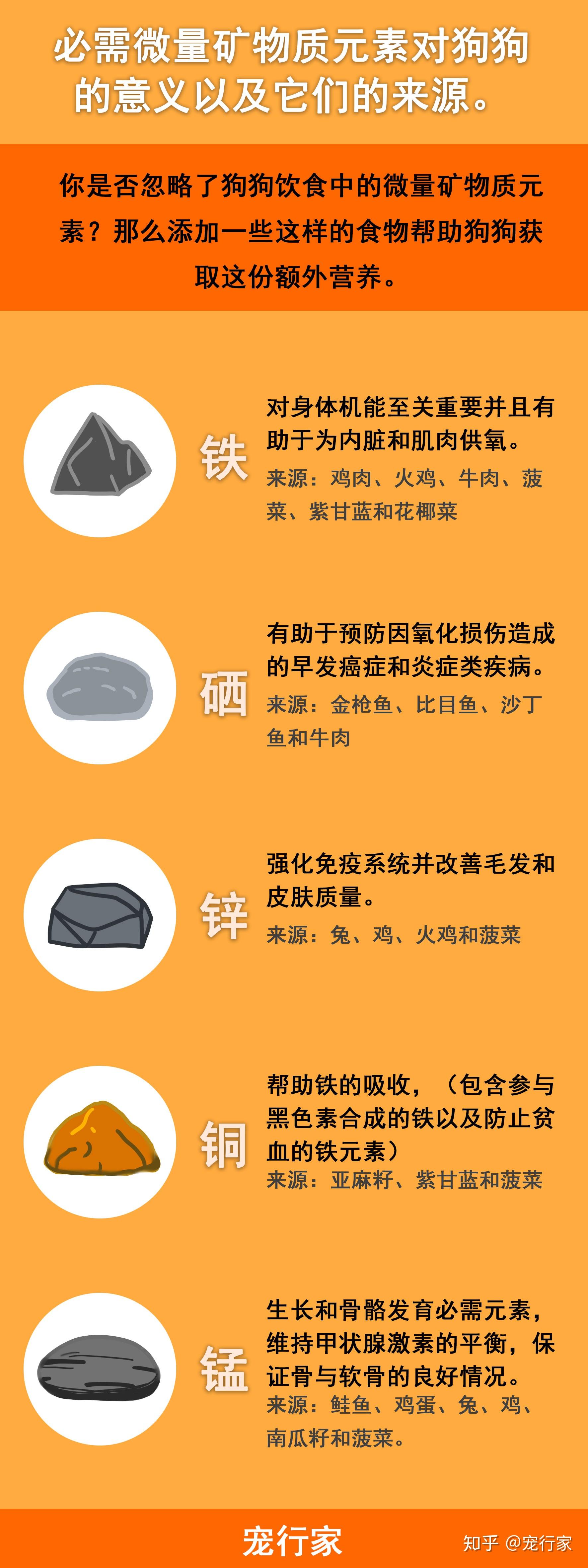 微量元素都有哪些(微量元素有必要检查吗)-硒宝网