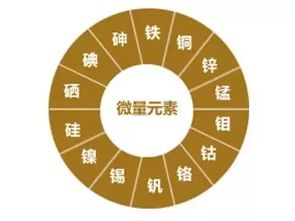 微量元素都有哪些(微量元素有必要检查吗)-硒宝网