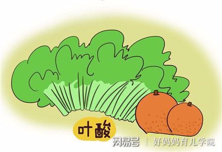 刚怀孕能吃锌硒宝吗(锌硒片孕妇能吃吗)-硒宝网