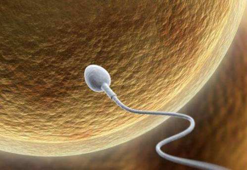 男士备孕补锌锌硒宝(男性备孕补锌硒)-硒宝网