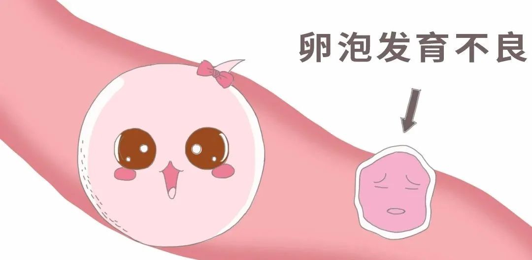 不备孕可以吃锌硒宝(锌硒备孕)-硒宝网